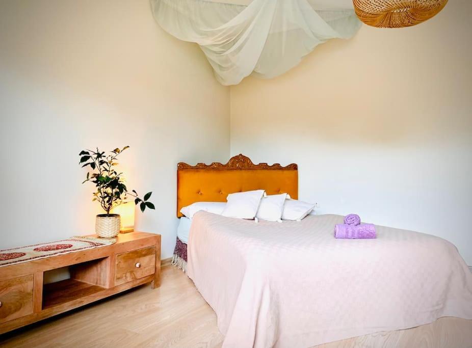 Three Bedroom With Two Terraces For 7People+Baby Kaunas Exterior foto